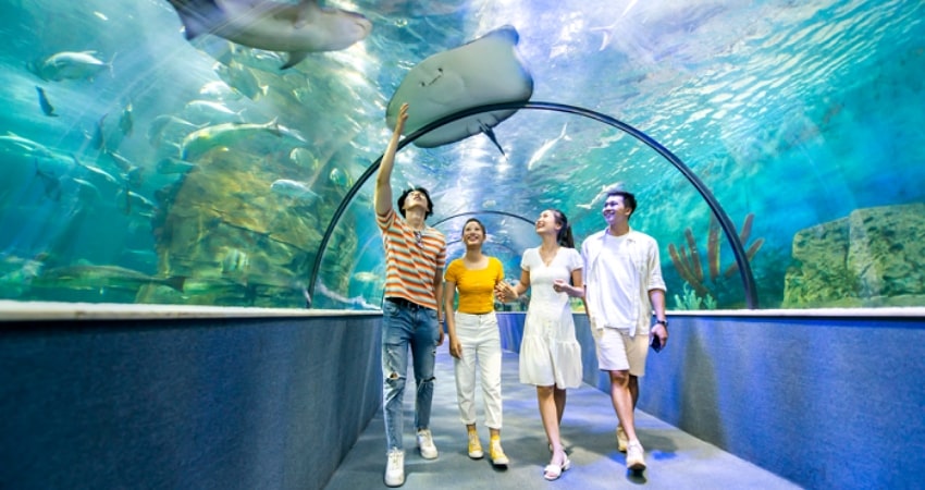 Vinpearl Aquarium Times City Hà Nội